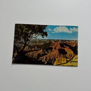 Vintage Grand Canyon Postcard